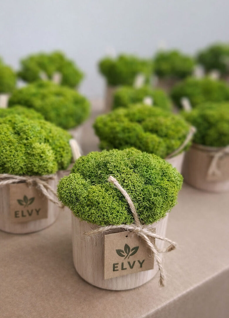 Dekoratyvinės samanos su įmonės logotipu