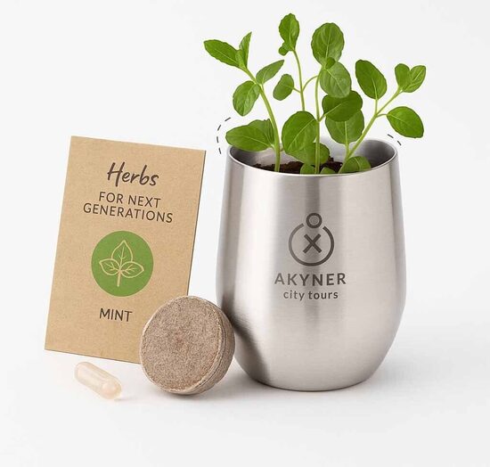 Tvarios verslo dovanos su jūsų įmonės logotipu/ekologškos dovanos/eko/eco