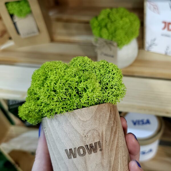 graviravimas ant medinių paviršių