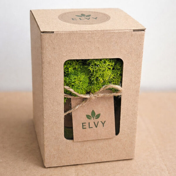 Ekologiškos konferencijų dovanos