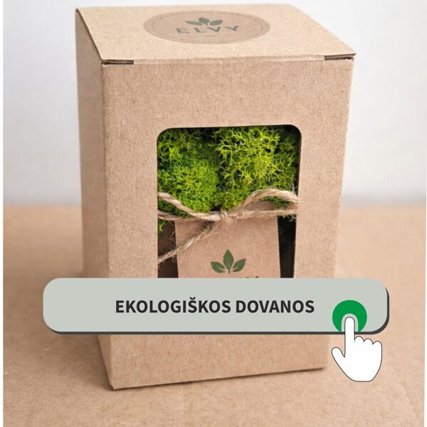 Ekologiškos konferencijų dovanos