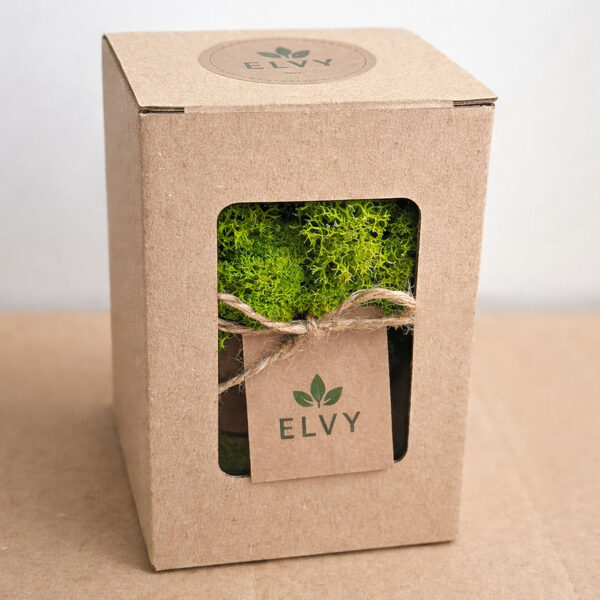 Dekoratyvinės samanos ( oro indikatorius )