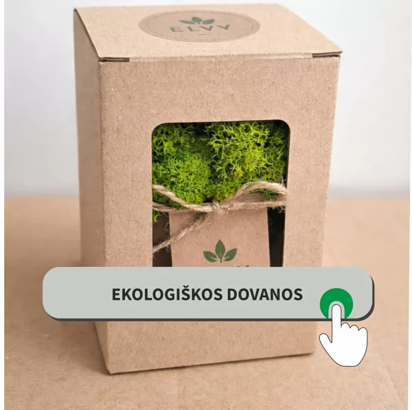 Ekologiškos konferencijų dovanos