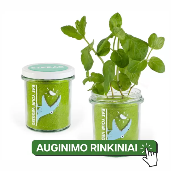 Auginimo rinkiniai ( tvarios verslo dovanos )